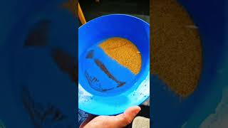 African rock gold mine production line, high production and high efficiency #machine #goldmine