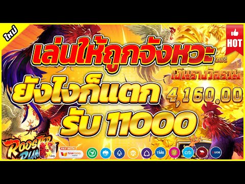 Rooster Rumble | สล็อตแตกง่าย สล็อตpg เกมไก่พีจี เล่นถูกเวลายังไงก็แตก