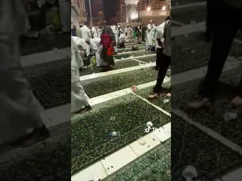 اللّٰہ تعالیٰ رحم فرمائے مسجدالحرام میں کیڑوں نے نمازیوں کو تنگ کرنا شروع کردیا