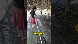 This "floating duck farm" actually makes $700,000 a month?! #EcologicalAgriculture