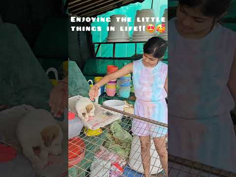 Be happy!! #behappy  #enjoy #happiness #pets #petlover #enjoylife #love  @kuhusmagicalgalaxy