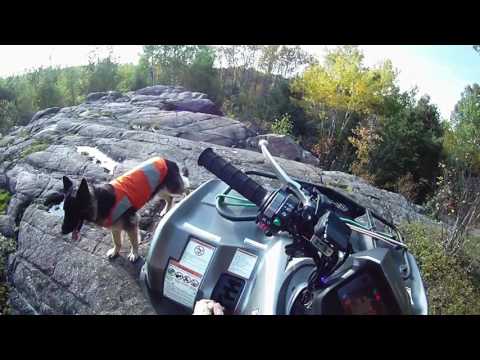 Climbing Red Rock
