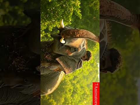 Veerappan AI Reimagined: Short Insights into the Infamous Bandit's Life Using AI #veerapanlife