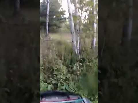 Birchy Slalom To The Lake #offroad ATV