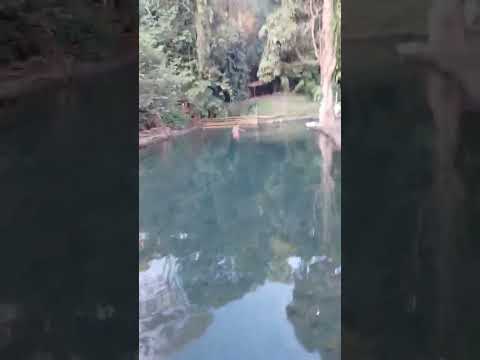 try koraw kung Kya ko Hanggang dulo haha grbe ha..Ang linaw Ng salita mo par malnaw pa sa tubig✌️🤣