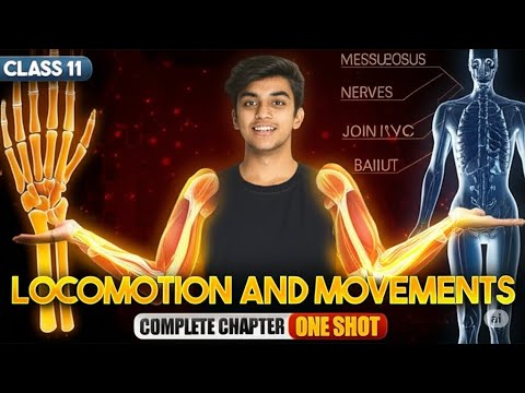 Locomotion and Movement ONE SHOT Revision | Human Physiology OneShot for NEET 