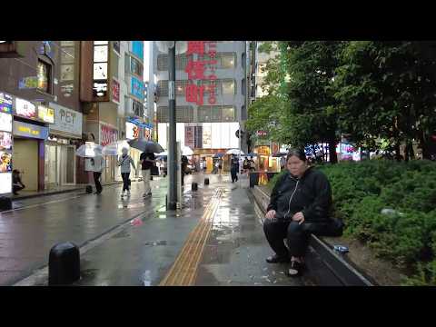 Rain Walk in Tokyo Shinjuku Kabukicho Tour, Relaxing Walk in JAPAN Travel 雨の新宿歌舞伎町をお散歩！日本東京・散歩動画