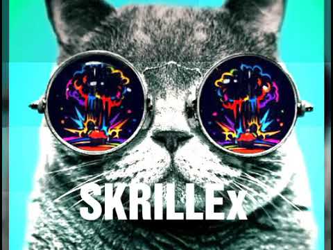 Skrillex Remix = my name is skrillex
