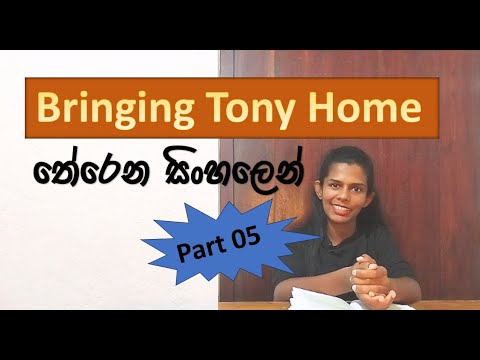 Bringing Tony Home තේරෙන සිංහලෙන් | O/L English literature | Part 05
