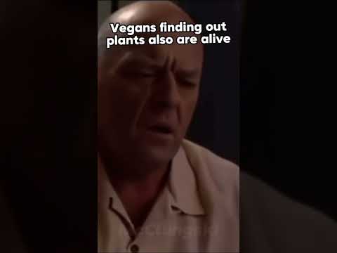 🌱🌱❤️