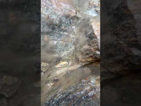 SNIPING for SCOTTISH GOLD