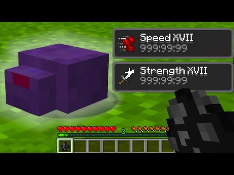 I created Minecraft’s deadliest endermite…