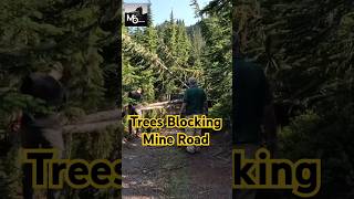 Gold Mining Obstacles #undergroundmining #goldmining