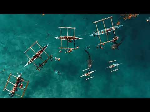 10 Must Do Adventures in Trinidad & Tobago!
