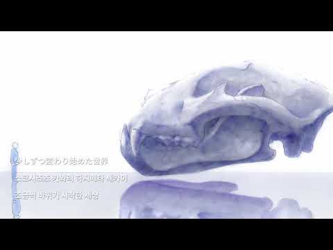 「비스타즈」 2기 ED／YOASOBI『상냥한 혜성』 (일본어,한국어 발음,해석) [4K Video] 「BEASTARS」 第2期エンディング　ノンクレジット版／YOASOBI『優しい彗星』
