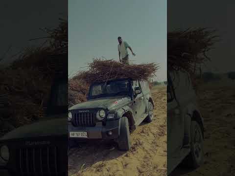 Jamidar #frming #frmar #thar #trending #shortvideo #viralvideo #youtubeshorts #mahindrathar