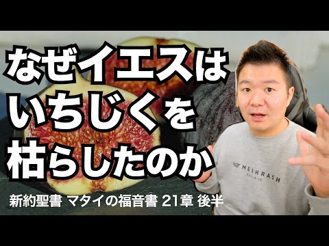 なぜイエスはいちじくの木を枯らしたのか＜マタイの福音書21章後半＞【聖書の話131】クラウドチャーチ牧仕・小林拓馬