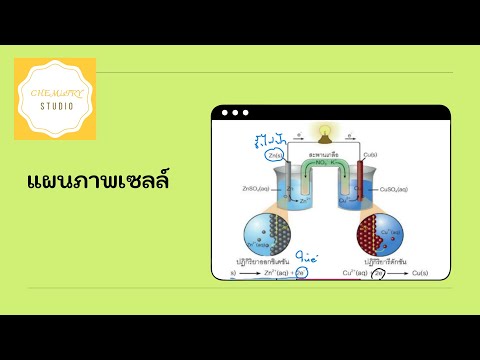 การเขียนแผนภาพเซลล์