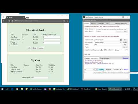 Sahi Pro Starter Introduction