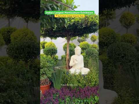 India’s Largest Horticulture Exhibition in Pune | Pune Exhibition #pune #horticulture #punekar