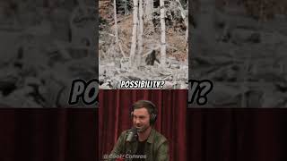 Is Bigfoot Real? | Joe Rogan Experience