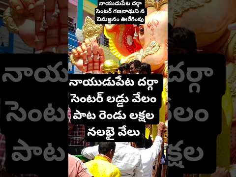 నాయుడుపేట విశేషాలు, గణనాధుని నిమజ్జనం#shorts #shortvideo