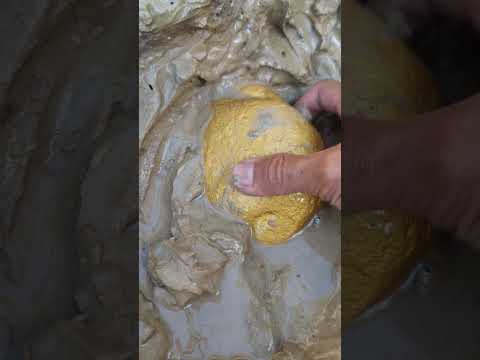 big gold dug up with bare hands #goldhunter #lookingforgold