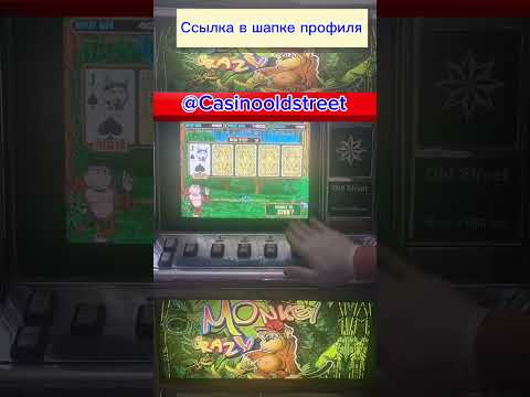 @Casinooldstreet. #casino #crazymonkey #slot #moscow #slots  #slotlive #casinooldstreet #shorts