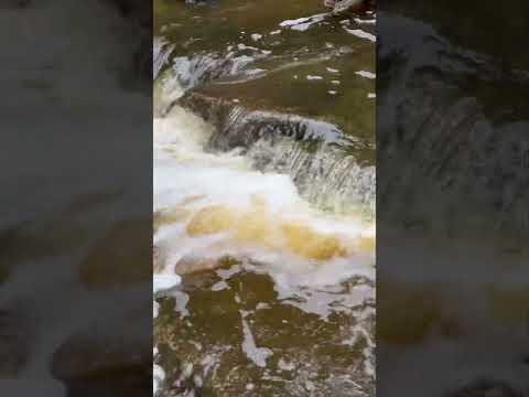 Smokey hollow Bruce trail #nagercoilpaiyan #trail #nature #waterfalls