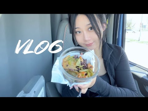 Vlog 北美卡车司机 风吹雨打的一周