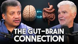 The Gut–Brain Connection: How Your Microbiome Influences Your Mind