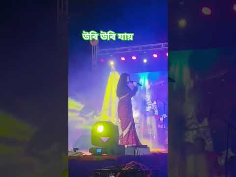 উৰি উৰি যায়/Uri uri jai #deeplinadekanewsong #liveperformance #deeplinadeka #trendingshorts #shorts