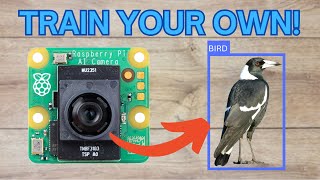 Using Raspberry Pi AI Camera with a Custom Trained Object Detector!