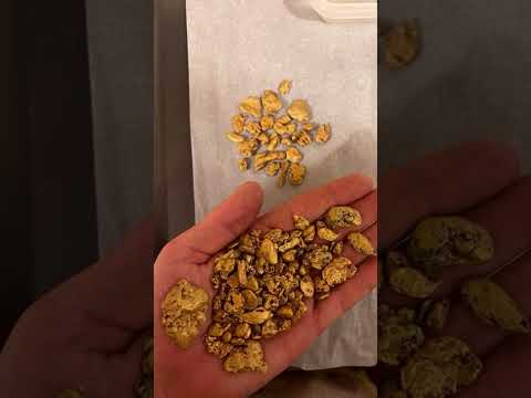 The Old-Timers Missed These Nuggets