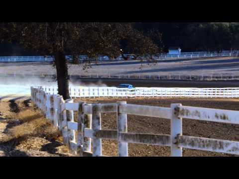 Budweiser Super Bowl XLVIII Commercial    Puppy Love