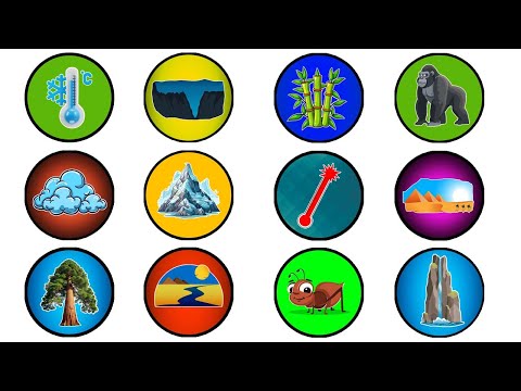 Every Natural World Records Explained in 12 Minutes