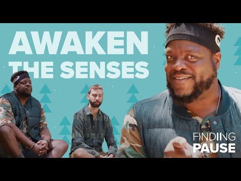 Forest Bathing for Stress Relief : Finding Pause