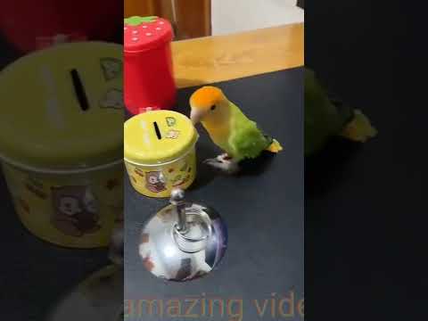 funny animation video.funny ❤️ love you and n