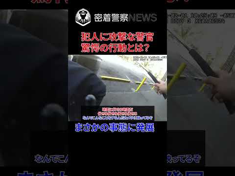 警官が犯人を見つけた時の職質方法とは？まさかの末路を迎える！【ボディカメラ】【アメリカ警察密着】 #密着取材 #密着警察 #警察24 #警察密着 #ボディカメラ