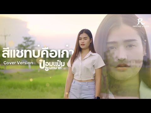 สีแชทบ่คือเก่า - ป๋อมแป๋ม ชนกนาถ [COVER VERSION4K]