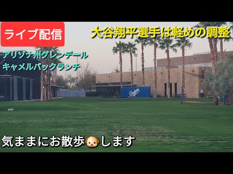 【ライブ配信】大谷翔平選手は軽めの調整⚾️今日のホワイトソックス戦で出場か❓⚾️気ままにお散歩します💫Shinsuke Handyman がライブ配信中！