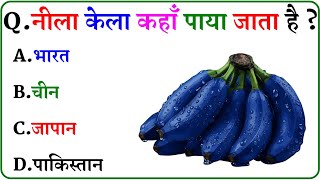 GK Questions || GK in Hindi || GK Questions and Answers || GK Quiz ||