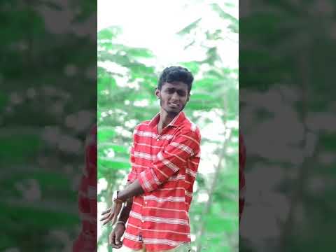 Anni Abadale