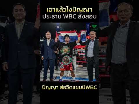 ประธาน WBC สั่งสอบสวน ปัญญาส่อวืดแชมป์ #wbc #มวยวันนี้