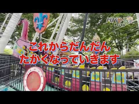 長野県・小諸市児童遊園地のバイキング「ツインドラゴン」