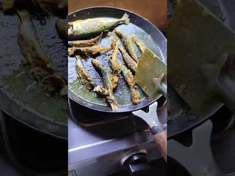 fish fry #how to make fish fry🦈 #shorts #youtubeshorts