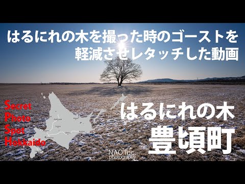 ■レタッチ はるにれの木を撮った時のゴーストを軽減させてレタッチした動画＜豊頃町はるにれの木＞