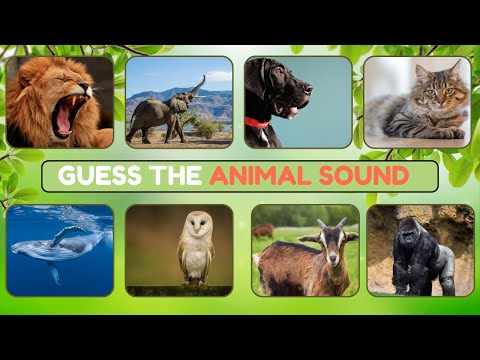 Guess the Animal Sound: Most People FAIL This Quiz! 🧠🐘