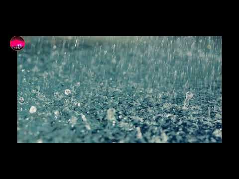 不眠症 解消、睡眠を誘導、ストレスを解消 雨の音！The sound of the Rain relieves insomnia and stress ! 불면증및 스트레스해소 빗소리 !