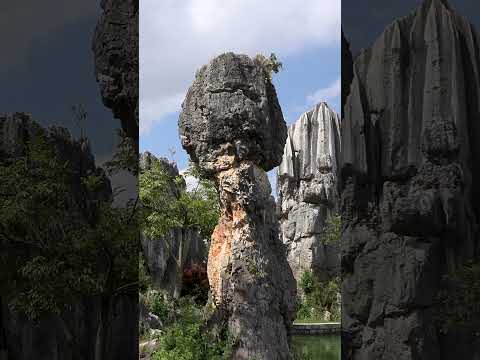 Stone Forest, China